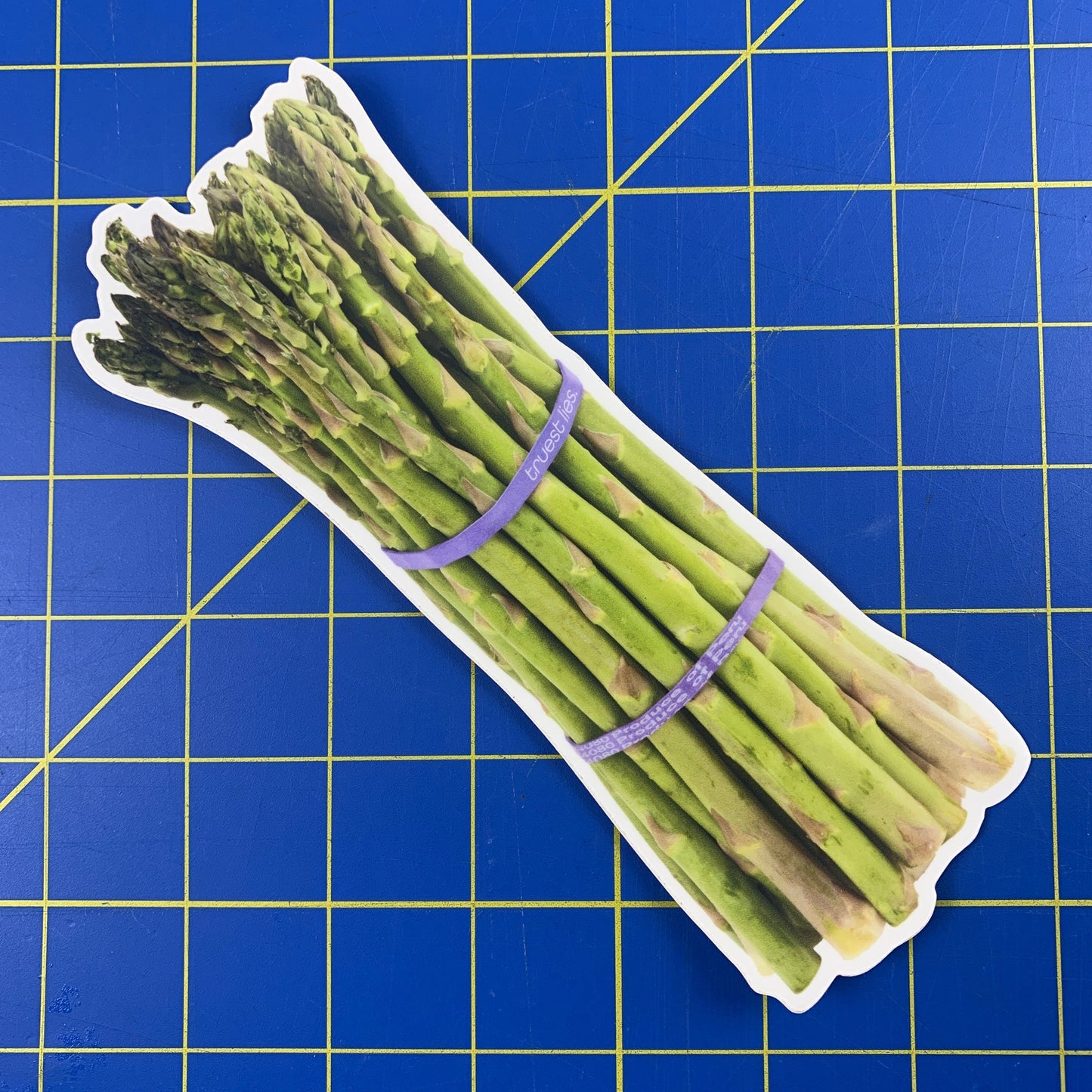 Asparagus Bumper Sticker