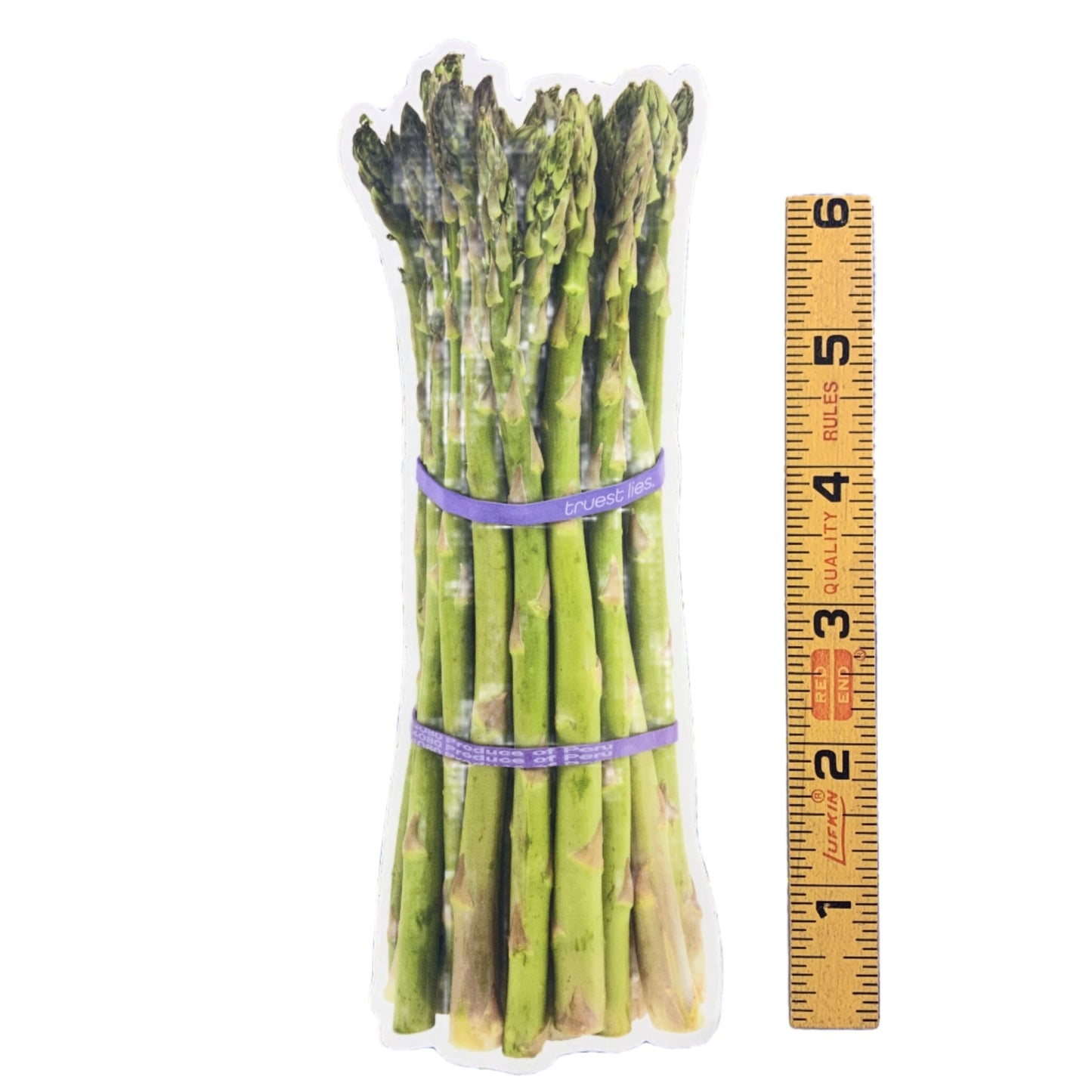 Asparagus Bumper Sticker
