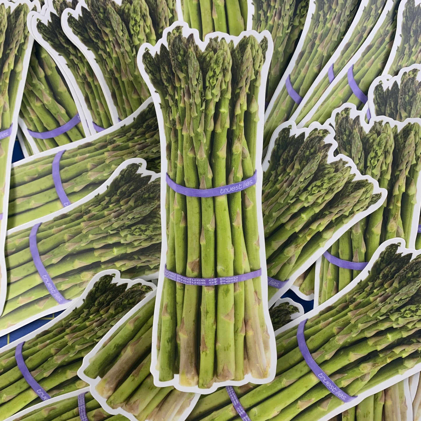 Asparagus Bumper Sticker