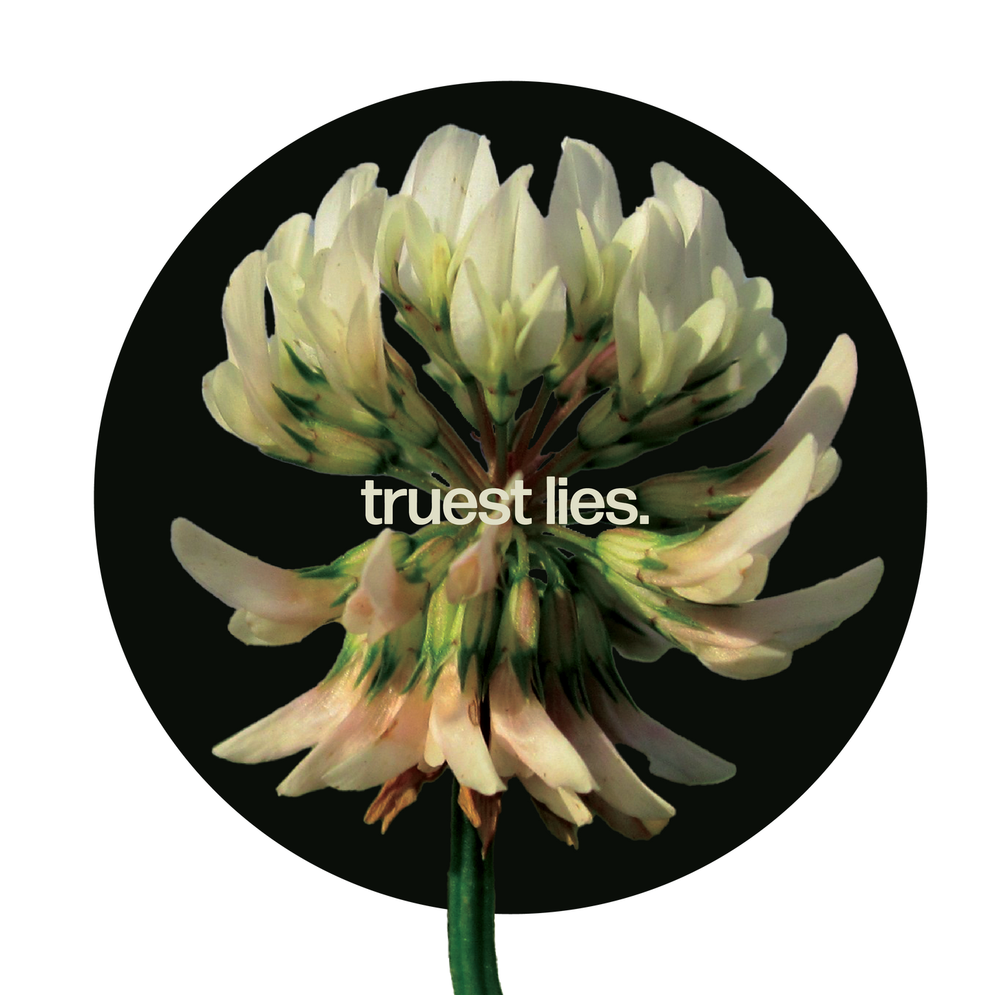 Dandelion Flower Sticker